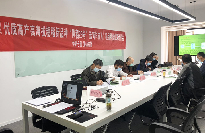 优质高产高海拔粳稻新品种“凤稻29号”选育与应用 anli.jpg